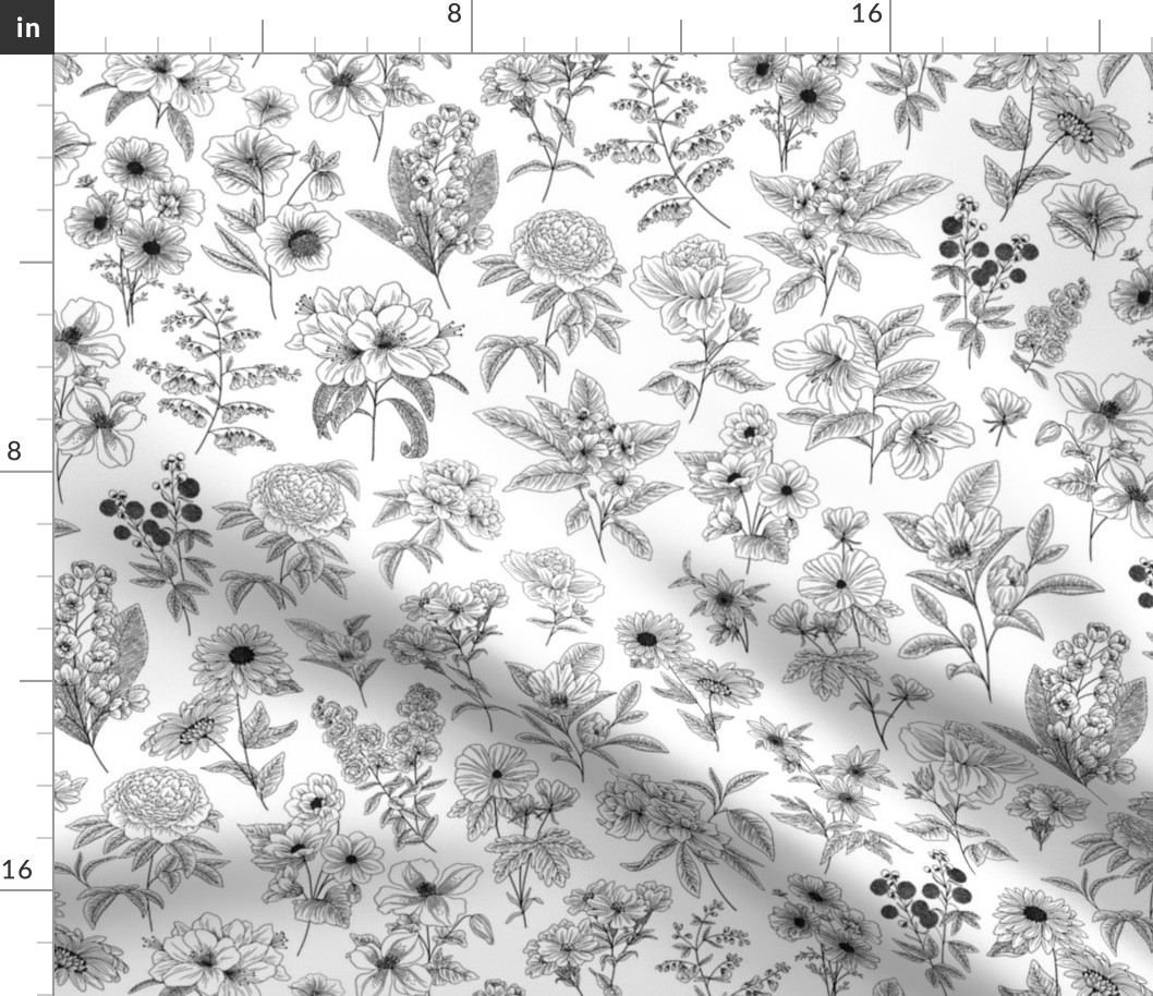 Black and White Floral Line Drawing - Large Print
