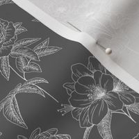 Grey and White Floral Line Drawing - Large Print