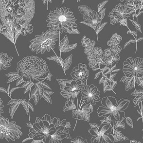Grey and White Floral Line Drawing - Large Print