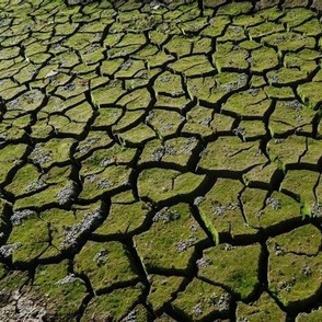 Folsom Lake Drought