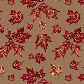 Falling Maple Leaves - Cocoa