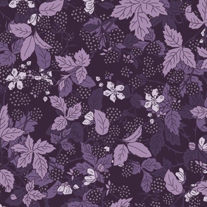 Blackberry hedge dark purple