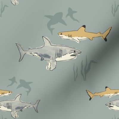Shark Watch, Hand-Drawn
