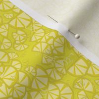 Lemons in Shades of Bright Yellow