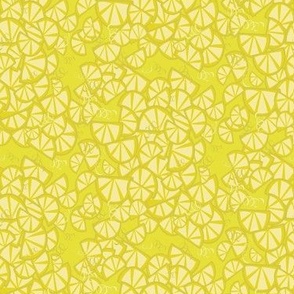 Lemons in Shades of Bright Yellow