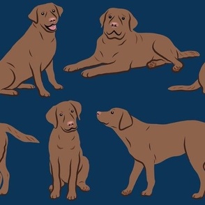 Large Brown Labrador Retriever Dogs - Navy