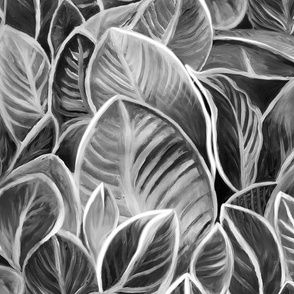 Leaves of love black and white
