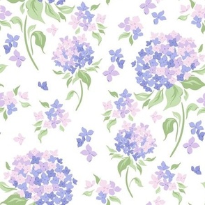 Purple Hydrangea Flowers on White Background