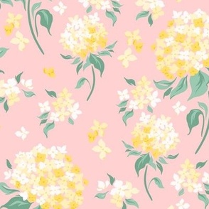 Yellow Hydrangea Flowers on Pink Background
