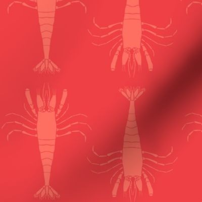 Lobster party