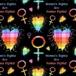 Women’s Rights Rainbow Plaid On Black