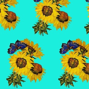 111b.  MEDIUM Blue Butterfly and Sunflowers on Turquoise