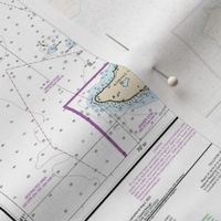 NOAA Martha's Vineyard nautical chart #13233 *soundings too small to read* - 17.3"x21" (fits on a FQ of any fabric)