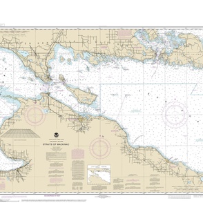 NOAA Straits of Mackinac nautical chart #14880 (42x31.5" - fits one yard of narrower fabrics)