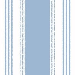 French Ticking in chambray