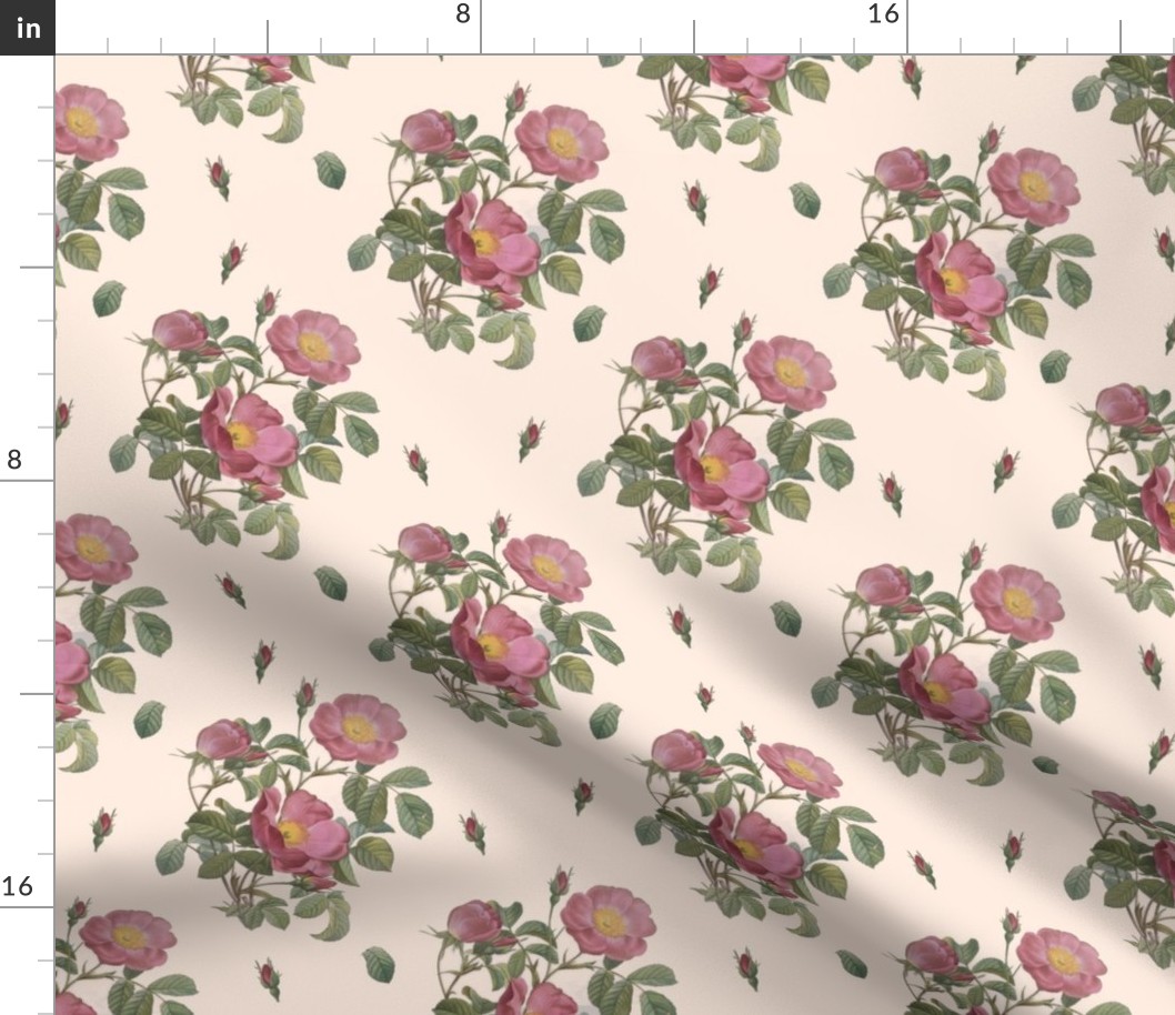 Rose Chintz