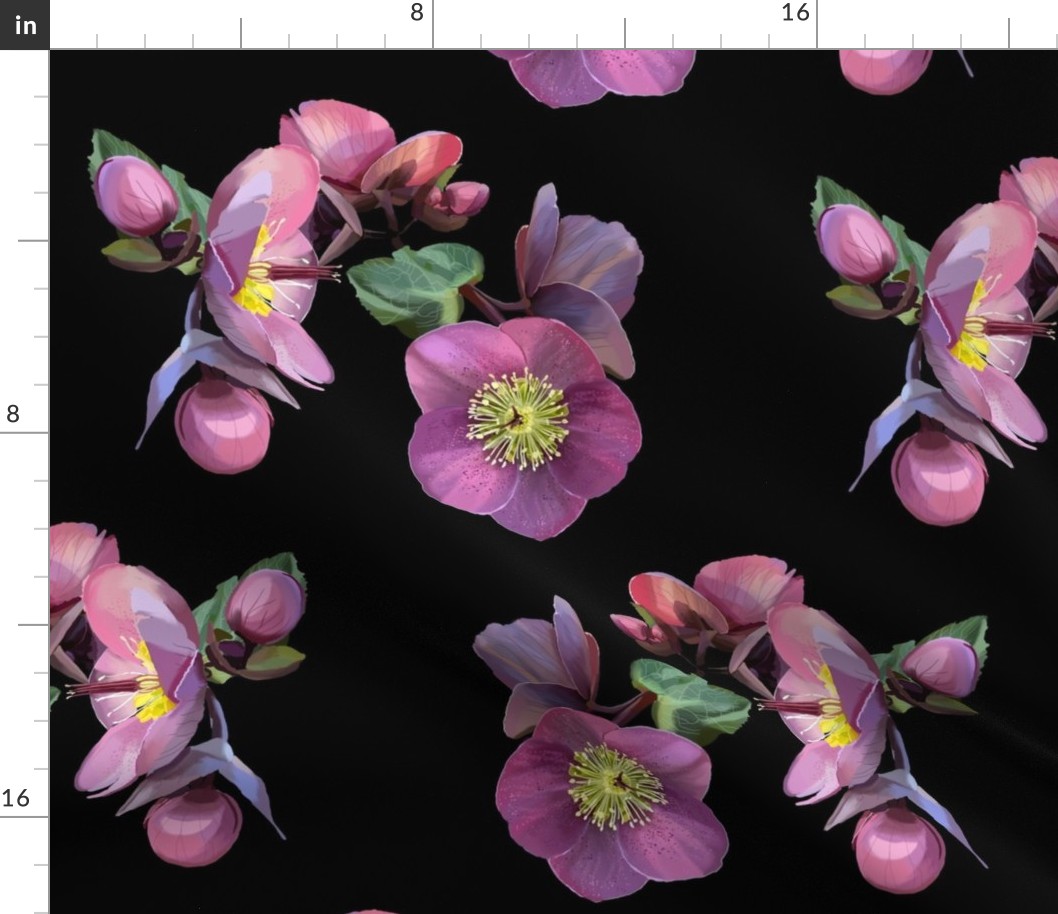 Penny's_Pink_Hellebores27-black-Yard