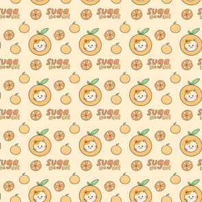 BTS Suga Yoongi the Cat Pastel Orange