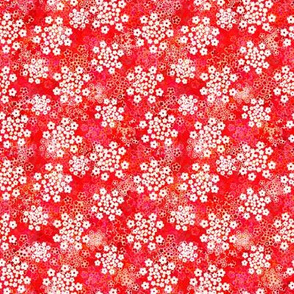 Verbena red floral