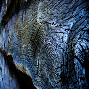 Old Wood
