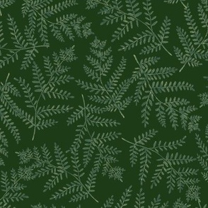 Fern Grotto Hand Painted West Coast Rainforest Ferns in Green on a Dark Dusty Green Background