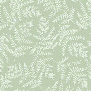 Fern Grotto Hand Painted West Coast Rainforest Ferns in Very Pale Green on a Dusty Green Background