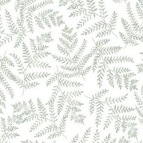 Fern Grotto Hand Painted West Coast Rainforest Ferns in Pastel Dusty Green on a White Background