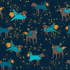 Doggie Rocket Starlight Space Galaxy in Blues, Oranges and Yellow