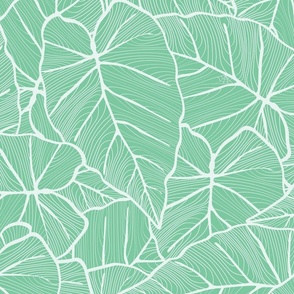 Soft color themed linear botany print - tropical,  Caladium - large scale