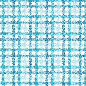 blue water gingham