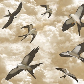Swallow-tailed Kite in monochrome