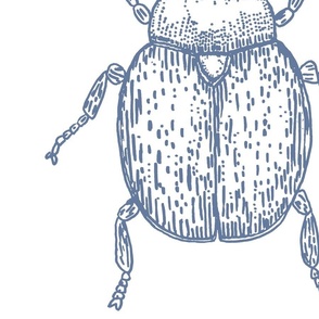 Beetle Bug Blue LARGE Scale