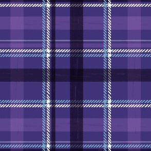 Purple Checkered Large Scale