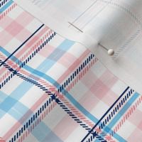 Pastel Blue Pink Plaid Small Scale