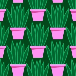 Pink Pots Pattern