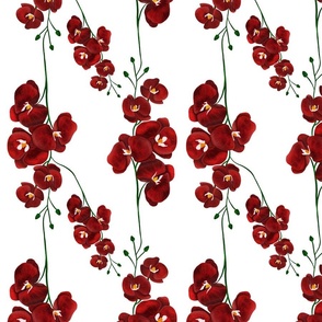 Floral pattern of Watercolor red orchid flower with white background 