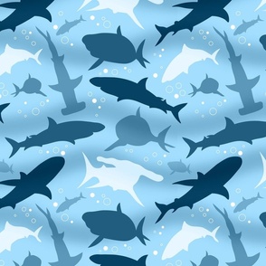 Blue Frenzy Sharks