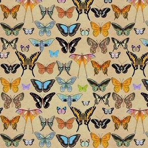 (S) Lepidopterology