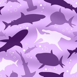 Purple Frenzy Sharks - Large Scale