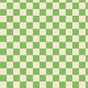 Vintage checkered boho design geometric gingham block racer check print plaid checkerboard pink peach white spring easter palette apple green  ivory