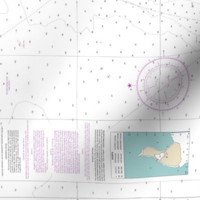 NOAA Block Island cropped nautical map #13217  *soundings too small to read* - 18x21" (fits on a FQ of any fabric) 