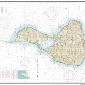 NOAA Block Island nautical map #13217  *soundings too small to read* - 13.5x21" (fits on a FQ of any fabric) 
