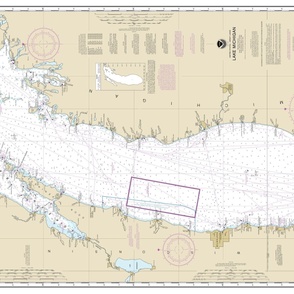 NOAA Lake Michigan chart #14901, sideways, 42x26"  one yard on narrow fabrics