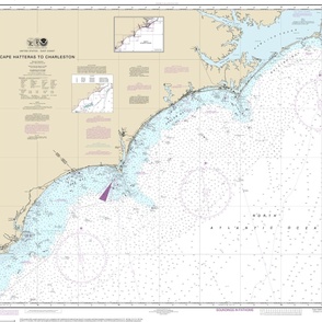 NOAA nautical chart #11520, North & South Carolina, Cape Hatteras - Charleston  *soundings too small to read* (custom 33x25") 