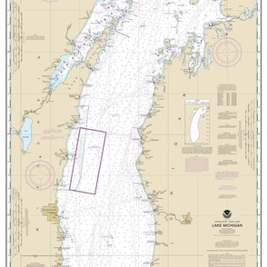 NOAA Lake Michigan nautical chart #14901 (36x21" - two per yard)