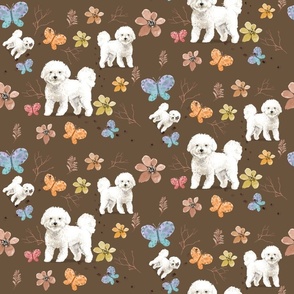 Bichon Frise on Brown background small