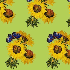 112b.  MEDIUM Blue Butterfly and Sunflowers on lime green