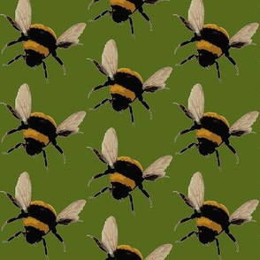 bee's / olive