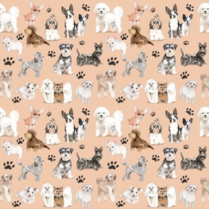 Small Dogs on a peach background 2000