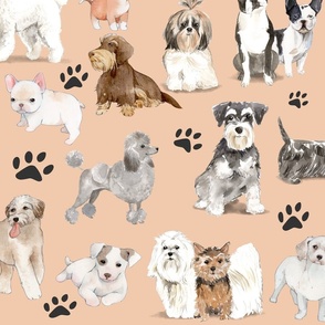 Cute small dogs on peach beige background  4000